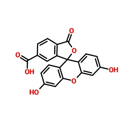 CAS:3301-79-9|6-Carboxyfluorescein