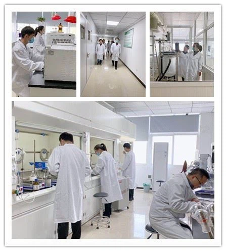CAS:3945-69-5 | 4-(4,6-Dimethoxy-1,3,5-triazin-2-yl)-4-methylmorpholinium Chloride