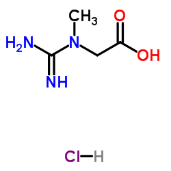 CAS:17050-09-8|Kreatin HCl