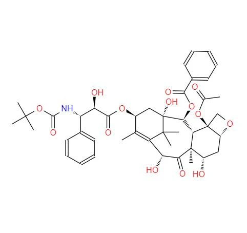 CAS:114977-28-5丨Docetaxel