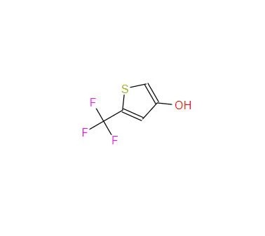CAS:217959-45-0丨5-TRIFLUOROMETHYLTHIOPHENE-3-YON
