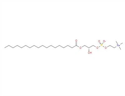 CAS:19420-57-6丨1-Stearoyl-sn-glycero-3-fosfokolin