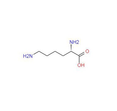 CAS:25104-18-1丨Poly-L-lysine