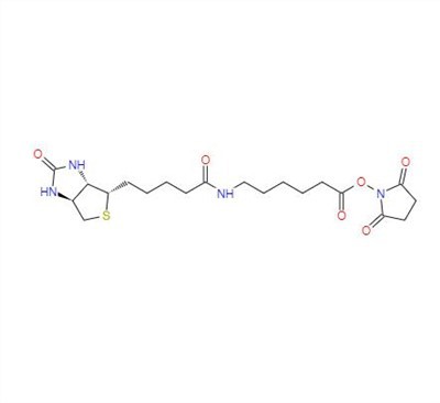CAS: 72040-63-2丨Succinimidyl 6-(biotinamido)hexanoate